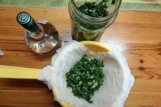 tintura di kolanchoe e vodka